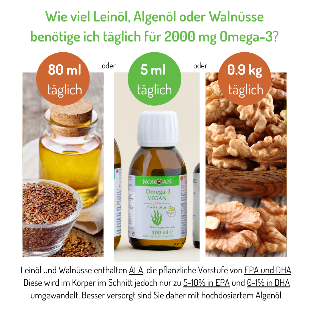 Omega 3 vegan – Bild 2